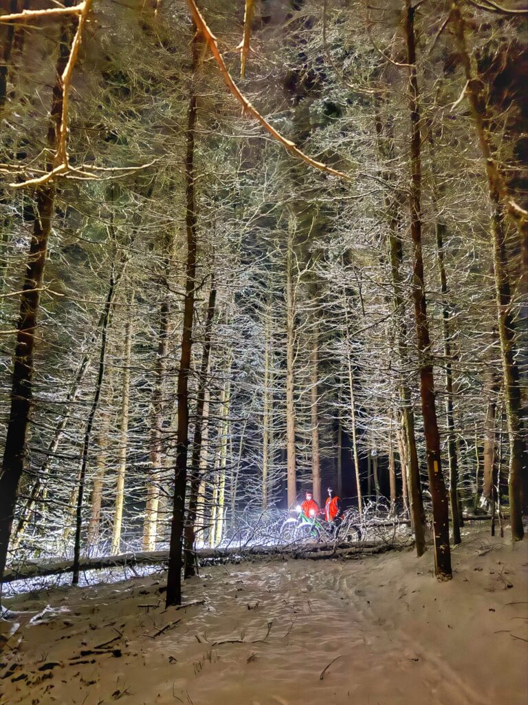 Herrington Manor State Park trail scene – Deep Creek Adventure Bureau
