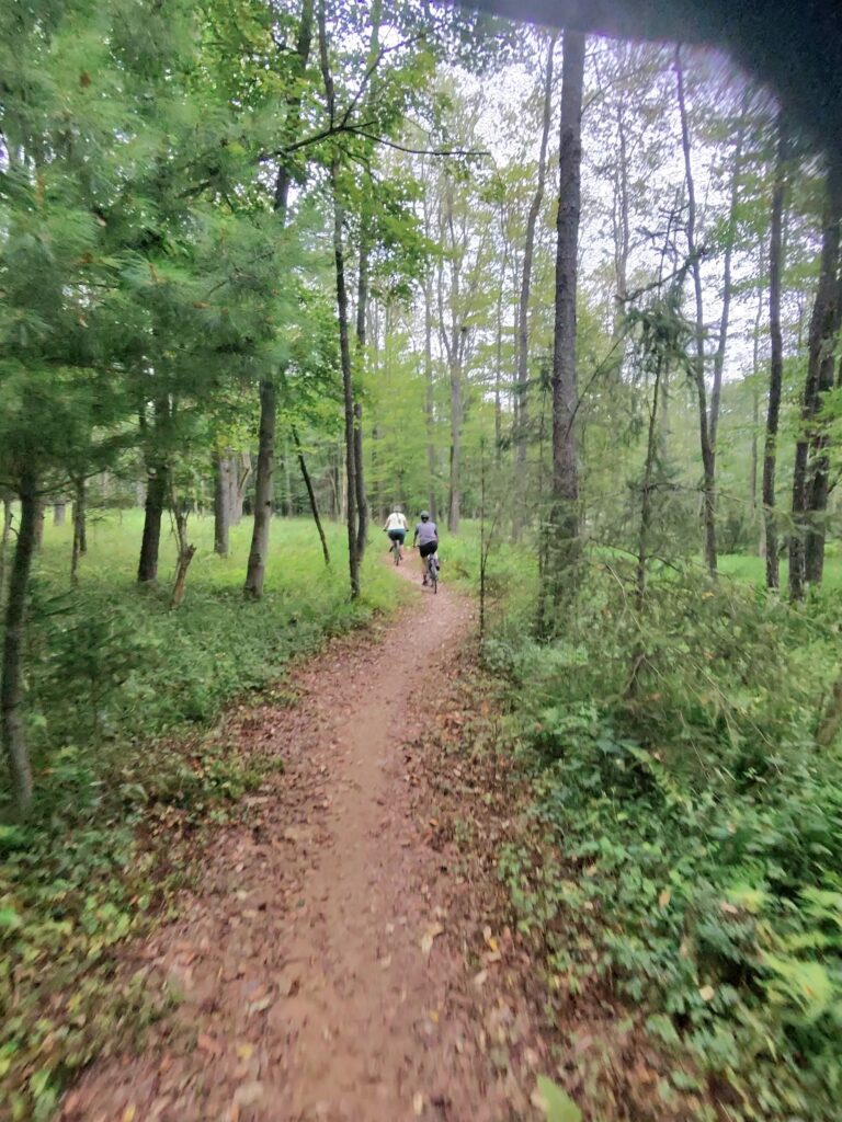 Herrington Manor State Park trail scene – Deep Creek Adventure Bureau