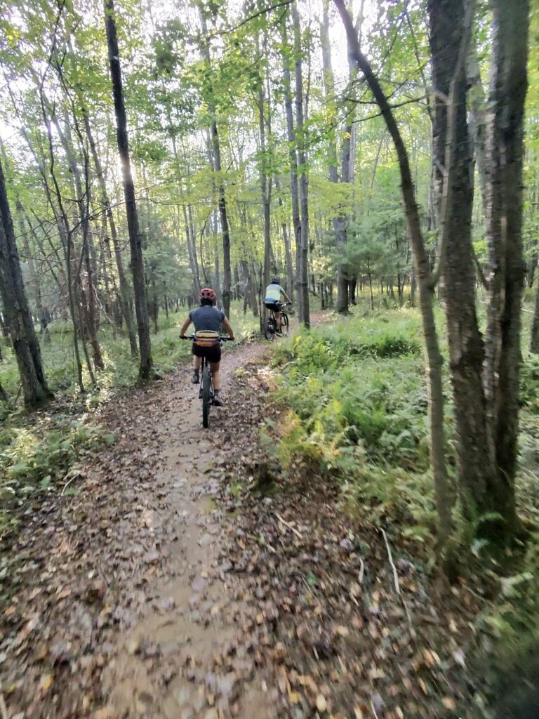 Herrington Manor State Park trail scene – Deep Creek Adventure Bureau