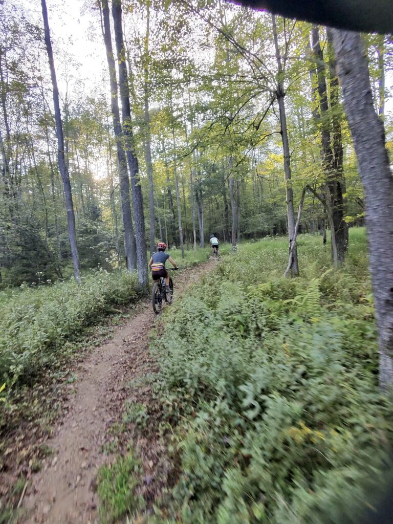 Herrington Manor State Park trail scene – Deep Creek Adventure Bureau