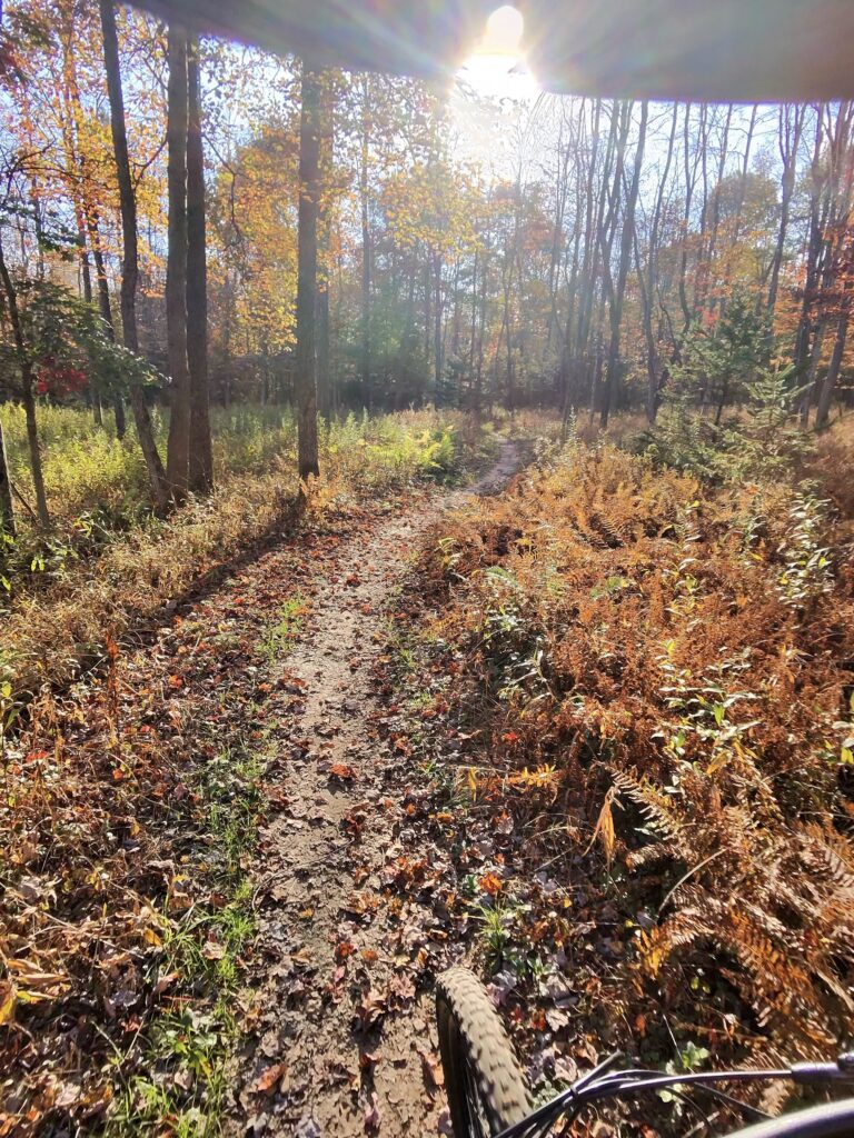 Herrington Manor State Park trail scene – Deep Creek Adventure Bureau