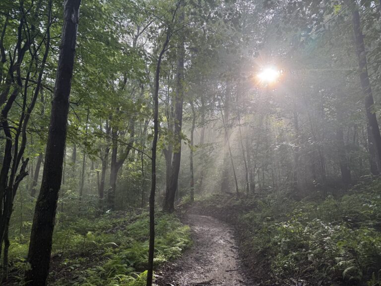 Margraff Plantation trail scene – Deep Creek Adventure Bureau