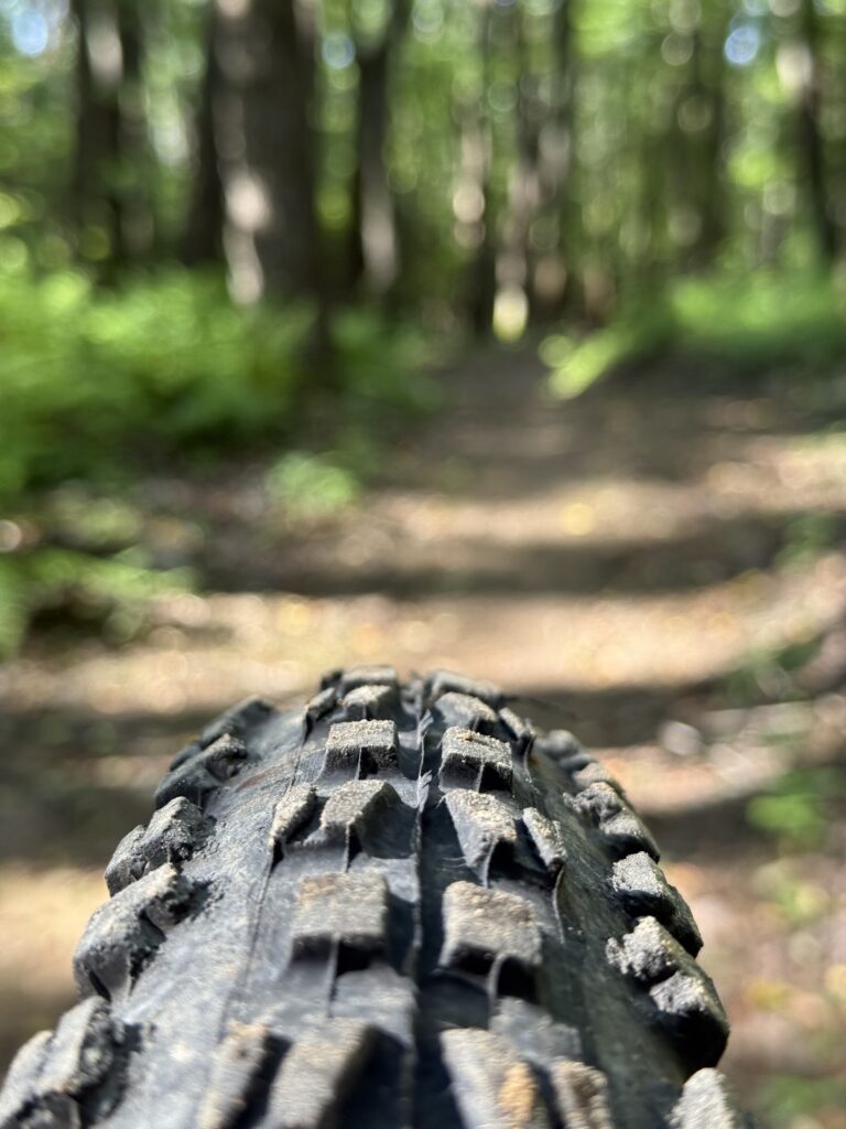 Margraff Plantation trail scene – Deep Creek Adventure Bureau