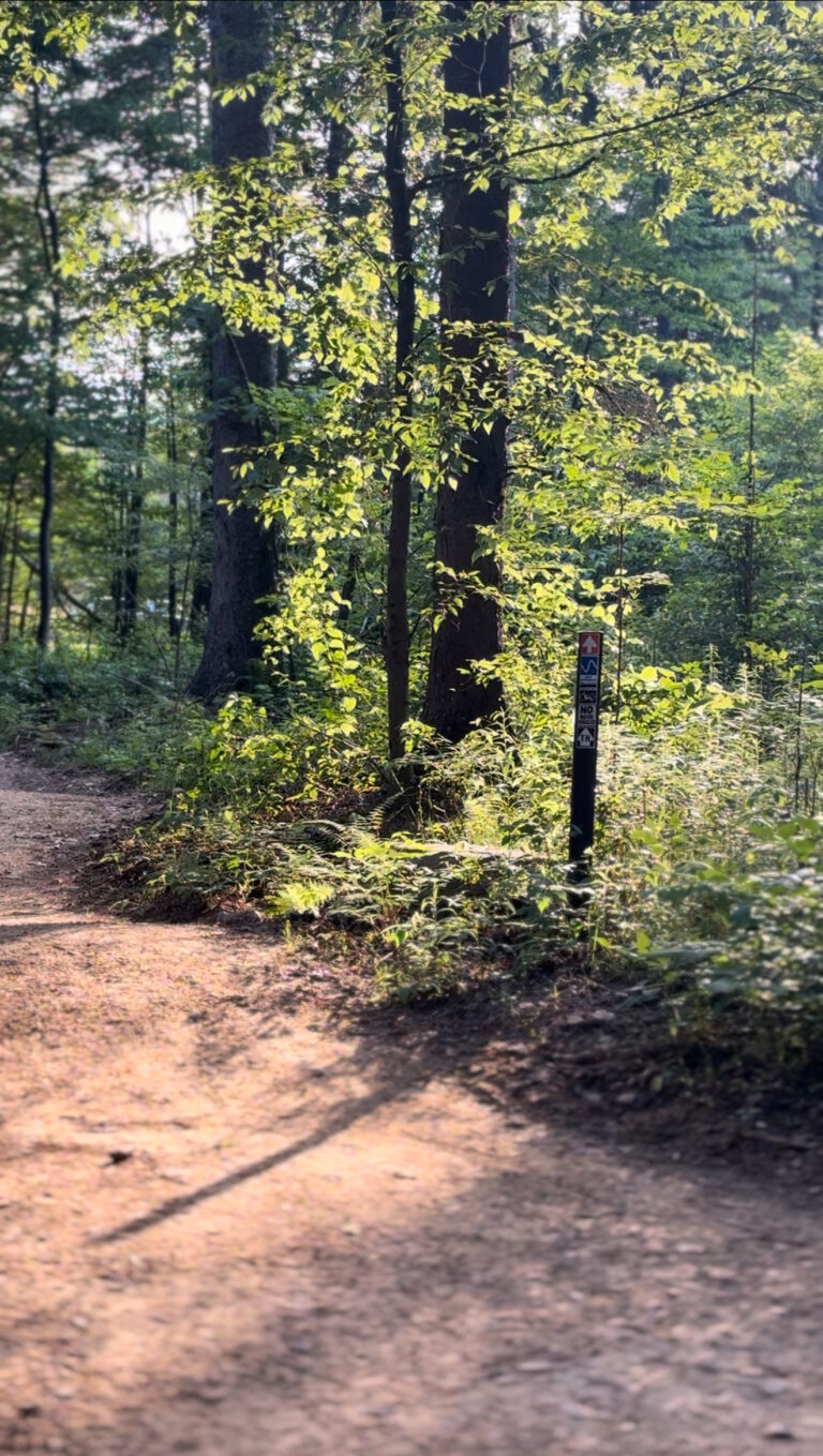 Margraff Plantation trail scene – Deep Creek Adventure Bureau