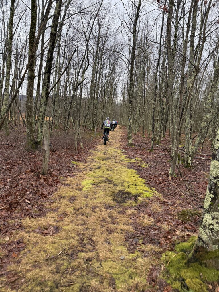 Meshach Browning Trails trail scene – Deep Creek Adventure Bureau