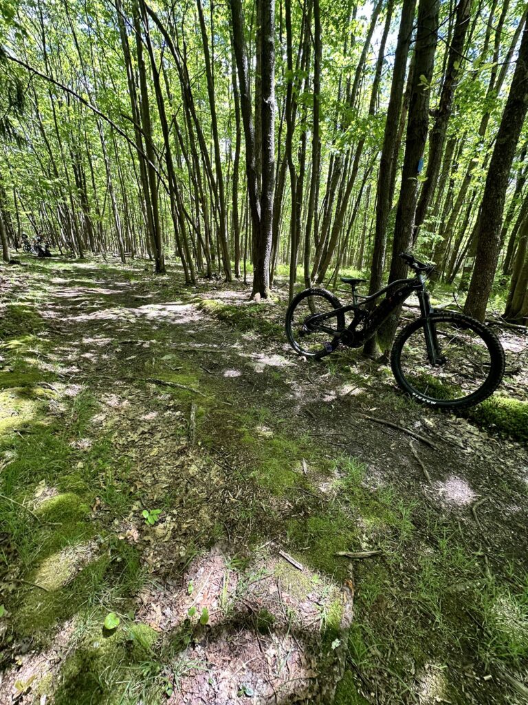Trail through the woods at Meshach Browning