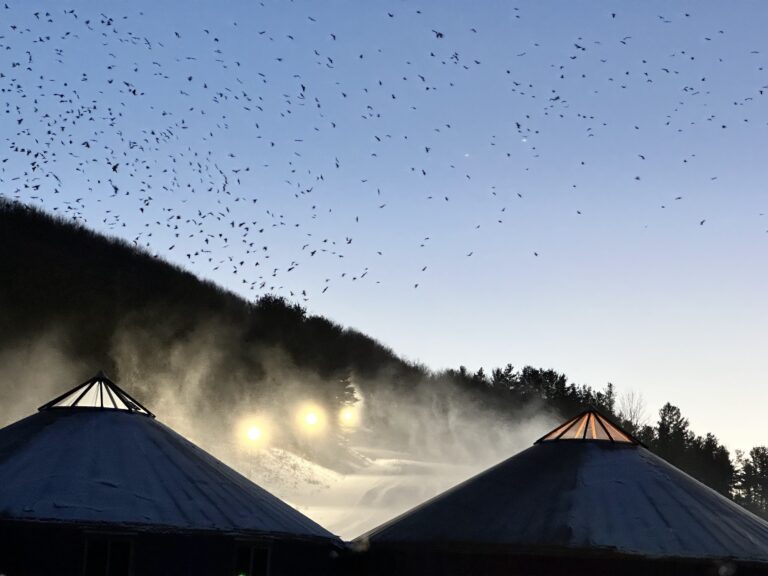 Wisp Resort trail scene – Deep Creek Adventure Bureau