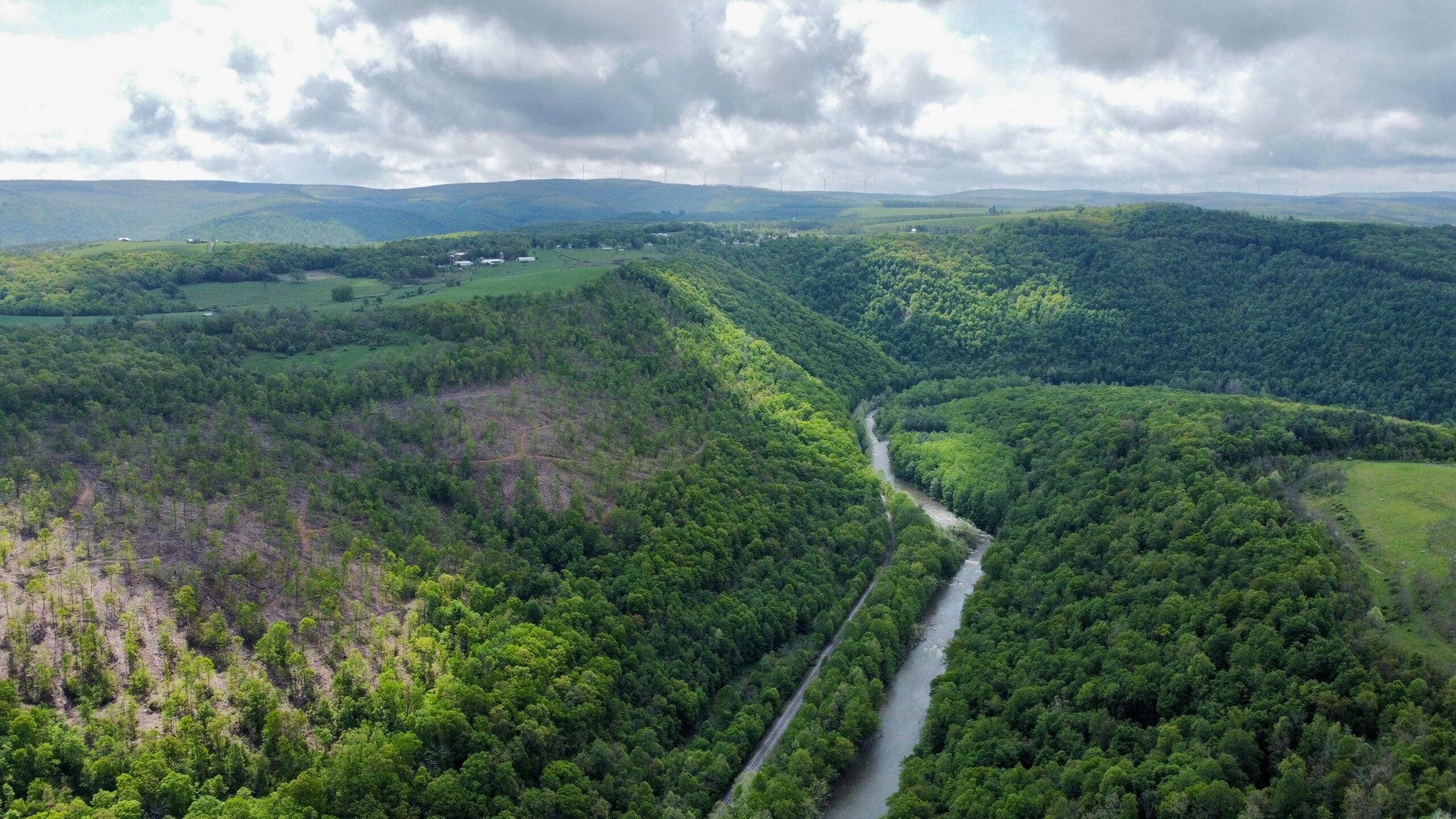 Land Acquisition by The Nature Conservancy