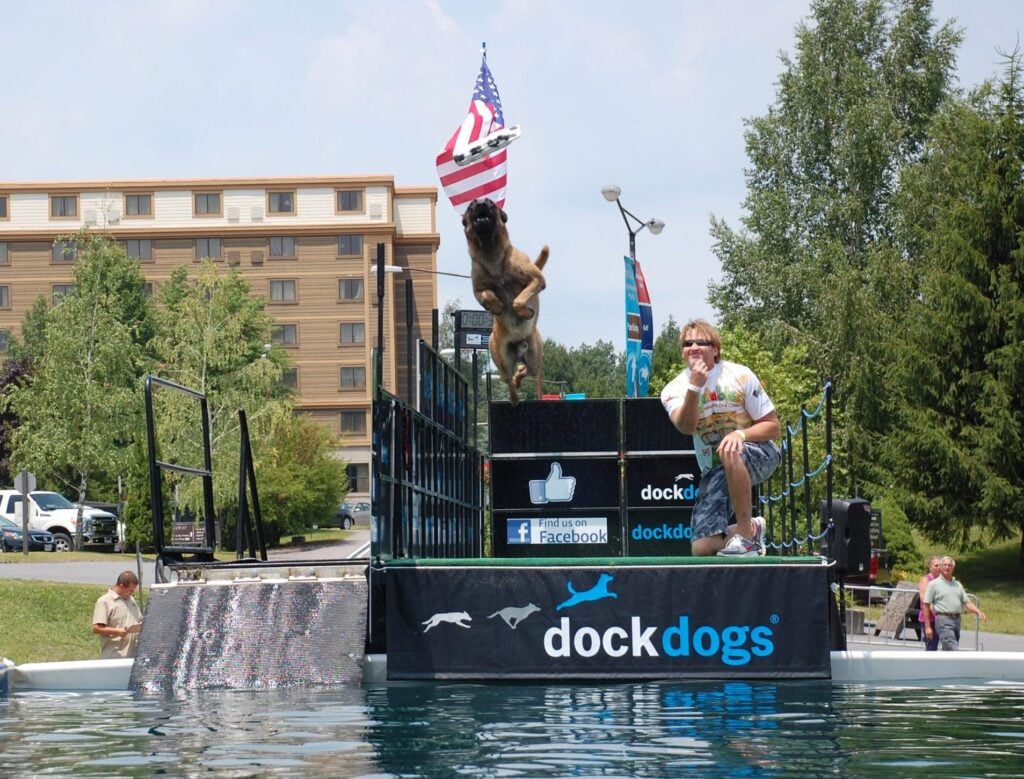 A dog leaps from the dock during a DockDogs competition at Wisp Resort