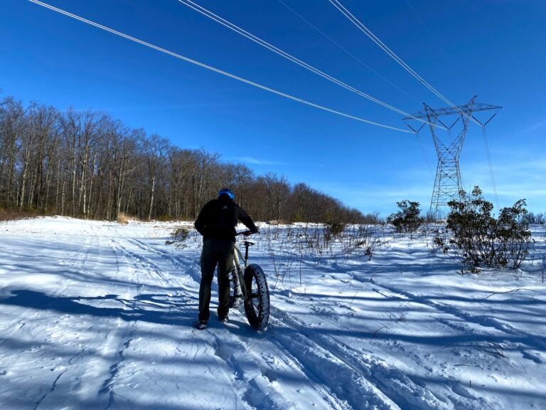 Fat bike under the power line in Savage River State Forest