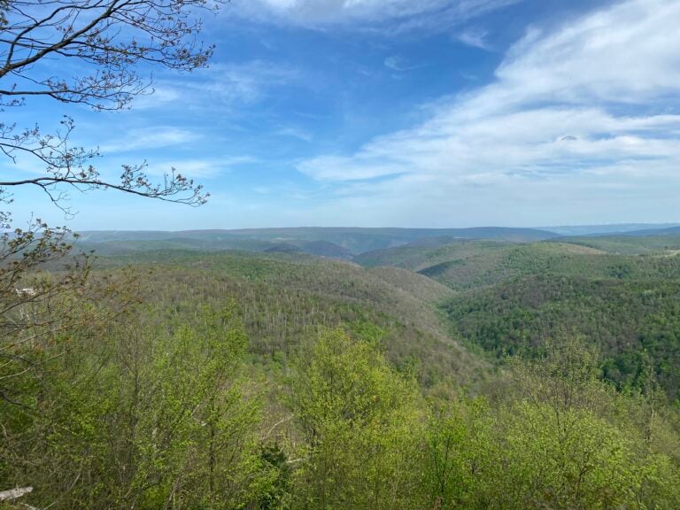 Spring green on the ridges of Savage River State Forest