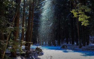 The Magic of Swallow Falls