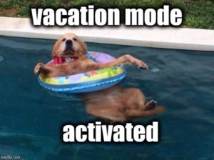 vacation at Deep Creek Lake, MD meme